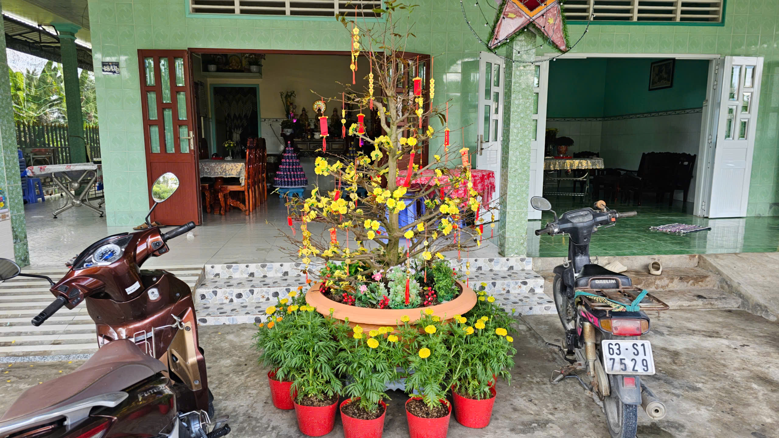 Bông chưng